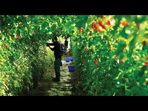 Trailer | A Holy Family | Elvis A-Liang Lu
