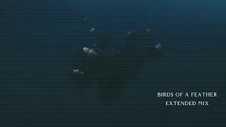 Download BILLIE EILISH - BIRDS OF A FEATHER (EXTENDED MIX) MP3