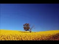 Jon Auer - Bottom of the Bottle