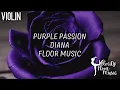 Purple Passion - DIANA - Upbeat Violin Floor Music