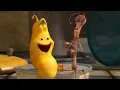 LARVA STICK INSECT Cartoons For Children LARVA Full Episodes Cartoons For Children