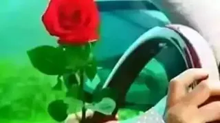 Jirenya Biyya Kesssa Rakkate Jirachu Mo Biyya Orma Dhadhabde Jiracha Wayya 