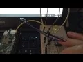 Controlling the LED using the button with Python on raspberryPi zero