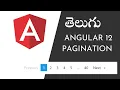 Angular 12 Pagination in telugu Ngx-Pagination in Angular 12