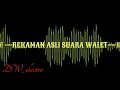 Download Lagu Rekaman Asli Suara Walet