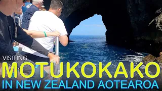 A Trip to The Famous Hole in The Rock on Motukokako / Piercy Island in New Zealand