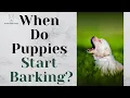 When Do Puppies Start Barking