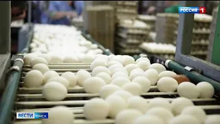 Вирус птичьего гриппа обнаружен на одном из крупнейших предприятий под Омском  — Иртышской птицефабрике