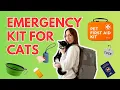 What every cat parent should have in an emergency