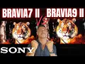 SONY BRAVIA9 II VS BRAVIA7 II True RGB Mini-LED Battle