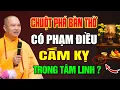 Lagu Chuột Phá Bàn Thờ, Có Phạm Điều Cấm Kỵ Trong Tâm Linh ? | Thầy Thích Đạo Thịnh