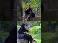 Download Lagu Beatbox Prank with Iranian People6 #beatbox #tiktek