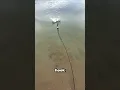 Download Lagu He Found Her Lost Pendant in the Water!