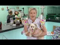 Low-Cost Groomer