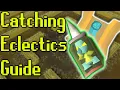 Ironman guide to eclectic implings