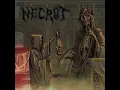 Shadows and Light - Necrot