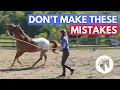 Download Lagu HORSE LUNGING MISTAKES - 5 WORST MISTAKES