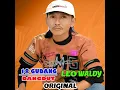 Racun Dan Bisa - Leo Waldy
