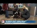 Genesee County Animal Control emergency adoption even helps clear space for rescued pets