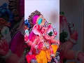 Download Lagu ganapati charthuthi | Vinayaka chavithi special video | pk natural things |