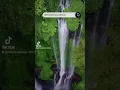 Download Lagu Sekumpul Waterfalls, Bali #shortvideo #travel #bali