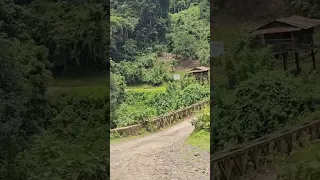 Gaba Ilu Abba Bora TikTok Videos Duet Amharic Habesha Funny Yutinass 