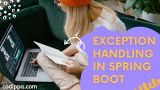 Exception handling in spring boot Global exception handling in spring boot rest api