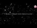 Download Lagu {AMV} Shigatsu Kimi no Uso ( JKT48 - Di Bawah langit Berwarna Sakura )