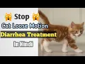 Download Lagu Cat Loose Motion Treatment || how to treat cat diarrhea #cat #catr #persiancat @nawazbilliwala1886 MP3