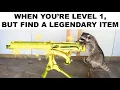 Raccoon Memes