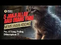 Download Lagu 5 Janji Allah Bagi Yang Memelihara Kucing ⁉️ No. 4 Yang Paling Diharapkan ‼️ @menitisurgaa