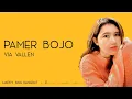 Download Lagu Via Vallen - Pamer Bojo (Lirik)