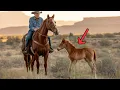 Download Lagu Little Wild Foal Kept Following the Rancher for Help—When He Realized Why, He Broke Down in Tears