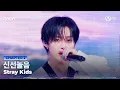 [#2025MAMA] Stray Kids - 신선놀음 | Mnet 251129 방송