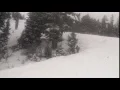 Gif what are you doing