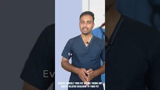 Cat Vaccination Schedule TheDrVet