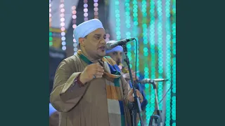 نخل عالى دندنها