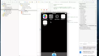 iOS Swift Xcode Advanced Debuging Tricks debugger command po arg1
