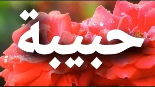 أغنية أسم حبيبة حبيبة 