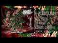 ABORIGEN- Gore pussy