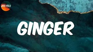 ginger feat burna boy lyrics wizkid