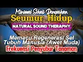Download Lagu 🔴 SUARA LEBAH MADU MALAM HARI‼️PEMANGGIL KOLONI \u0026 PEMACU KESUBURAN~FREKUENSI RENDAH 200MHZ