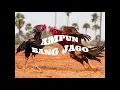 Download Lagu AMPUN BANG JAGO l PIL KOPLO REMIX