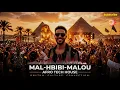MAL HBIBI MALOU- مال حبيبي مالو 🔥 Saad Lamjarred — Afro Tech House 2026 | Leyla Nağmeleri