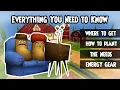 Bare Bones Couch Potato Guide