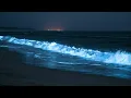 Bioluminescent Waves for Deep Sleep & Glowing Beach Night Sounds for Insomnia Relief