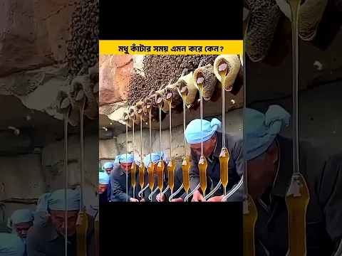 মৌমাছি কিভাবে মধু তৈয়ার করে 😀#shorts #shortsvideo #facts