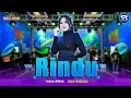 Download Lagu Intan Afifah _ Rindu |New Pallapa (Official Live Music Video)
