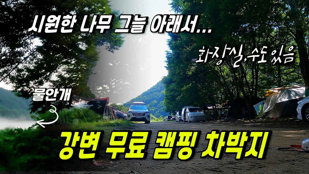 다슬기도 많은 강변 나무 그늘 밑 무료 캠핑 차박지 サムネイル