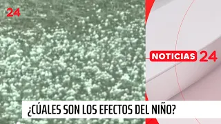 Iván Torres explica los riesgos por el fenómeno de "El Niño" | 24 Horas TVN Chile